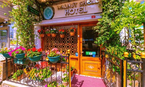turkiye/istanbul/fatih/walnut-shell-hotel_c871b15b.jpg