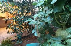 turkiye/istanbul/kadikoy/20220731_2018332d1e7475a4be485fa8e41d0616a2976e.jpg
