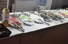 turkiye/istanbul/kadikoy/bade-2-otel-3643-664249d8.jpg