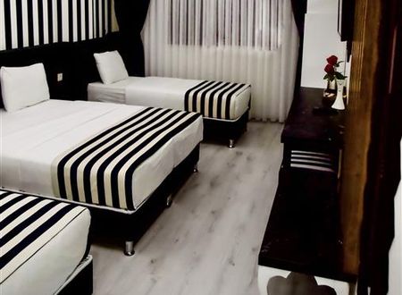 turkiye/istanbul/kucukcekmece/cnr-inci-hotel-a2071803.jpg