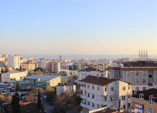 turkiye/istanbul/pendik/blue-life-88dc6ff3.jpg