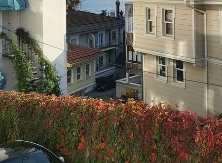 turkiye/istanbul/sariyer/af59c5f71a60a7eb4b2576f8dae9d395d7d8fa850d8b35d7529629aa38727d92e26631cc63aaa77b9a8f25a812148c930e503bd6fda376816c9f9479ba614681b145702aa2504dc0b55fbed1a1b4f1d1.jpg