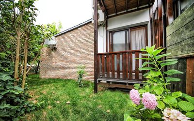 Ağva Deniz Yıldızı · 3