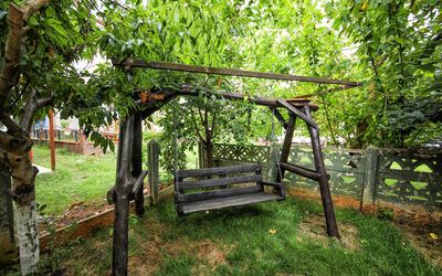 Ağva Deniz Yıldızı · 5