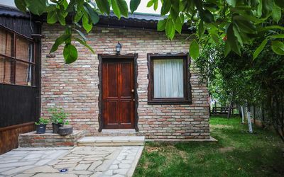 Ağva Deniz Yıldızı · 2