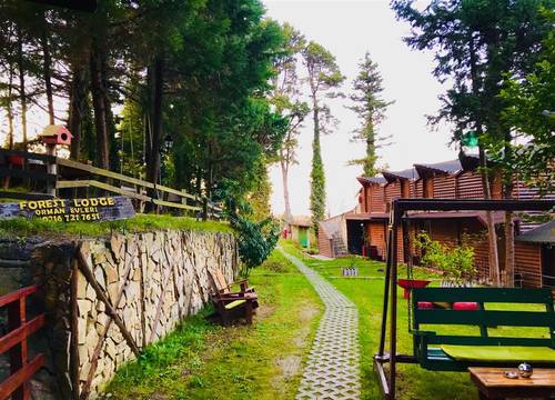 turkiye/istanbul/sile/agva-orman-evleri-forest-lodge-89691c87.jpg