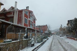 turkiye/istanbul/sile/ayisigi-otel_5a5a3e81.jpg