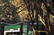 turkiye/istanbul/sile/lethe-exclusive-hotel_3bf37b69.jpg