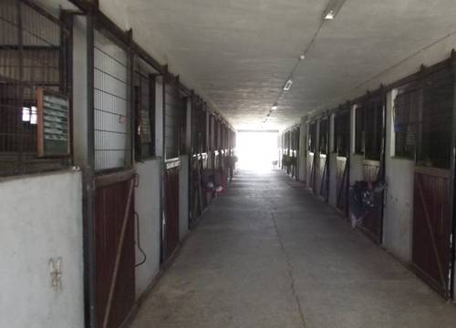 turkiye/istanbul/silivri/erkanlicountryresort-152650.jpg