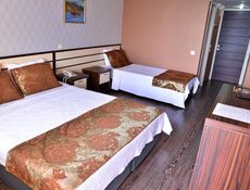 Economy Kamer