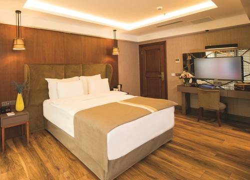 turkiye/istanbul/sisli/blueway-historical-hotel_3fec1614.jpg