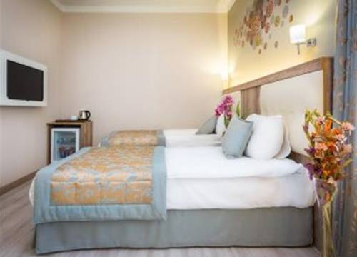 turkiye/istanbul/sisli/fatih-hotel-corner-724968961.png