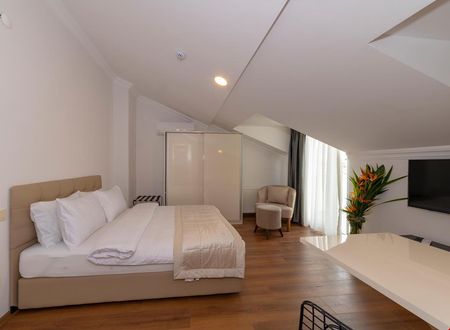 turkiye/istanbul/sisli/joys-suites_e1875749.jpg