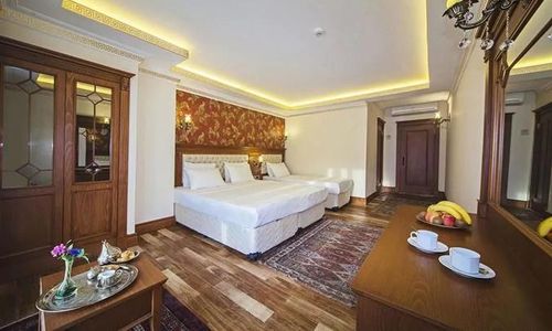 turkiye/istanbul/sisli/lausos-palace-hotel-1066789050.png