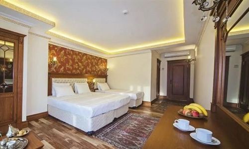 turkiye/istanbul/sisli/lausos-palace-hotel-2065759222.png