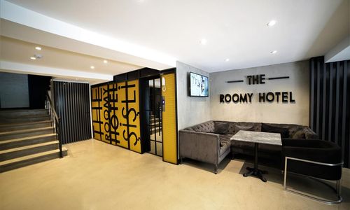 turkiye/istanbul/sisli/the-roomy-hotel-161e329c.jpg