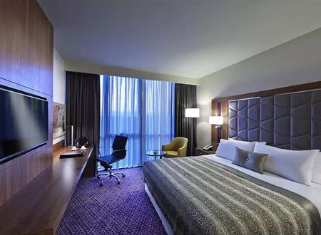 turkiye/istanbul/zeytinburnu/mercure-istanbul-topkapi-45973231.png