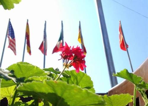 turkiye/izmir/bergama/anil-boutique-hotel-1335316683.JPG