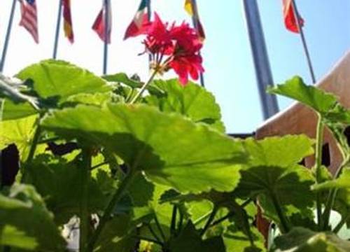 turkiye/izmir/bergama/anil-boutique-hotel-1626062103.jpg