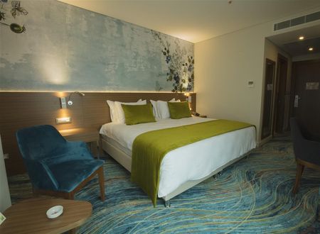 turkiye/izmir/bornova/ibis-styles-hotel-izmir-bornova-0aeda2db.jpg