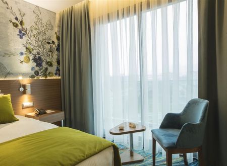 turkiye/izmir/bornova/ibis-styles-hotel-izmir-bornova-a2aa4788.jpg