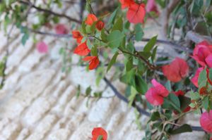 turkiye/izmir/cesme/alacati-gubiba-hotel_0cbe6bc0.jpg