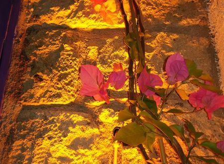turkiye/izmir/cesme/alacati-lavender-butik-otel-7cc65cf6.jpg