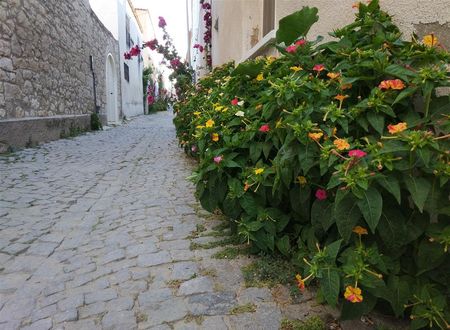 turkiye/izmir/cesme/alacati-lavender-butik-otel-aa363cc4.jpg