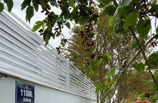 turkiye/izmir/cesme/alacope-alacati_250b5a61.jpg
