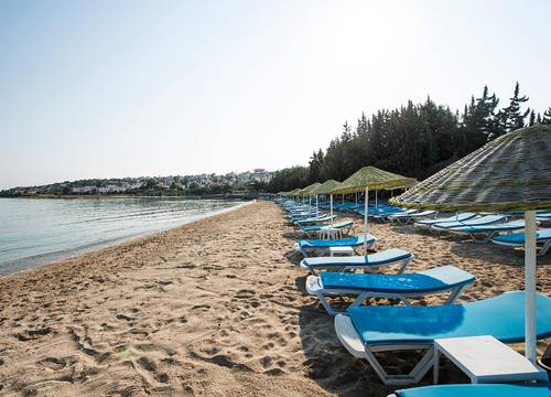 turkiye/izmir/cesme/altin-yunus-apart-beach-plus_69454ef2.jpg