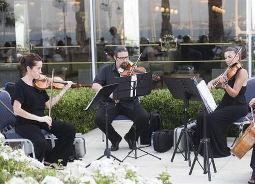 turkiye/izmir/cesme/altin-yunus-resort-thermal-hotel-859859066.jpg