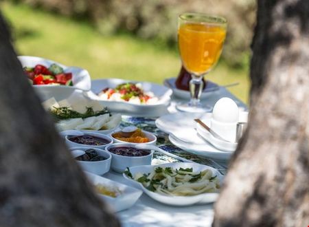 turkiye/izmir/cesme/asma-han_35b380fb.jpg