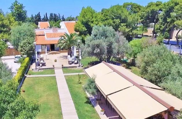turkiye/izmir/cesme/avenue-butik-otel-86c88edc.jpg
