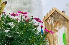 turkiye/izmir/cesme/badehan-guest-house_2611bed4.jpg