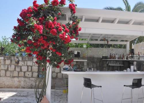 turkiye/izmir/cesme/boutique-hotel-7-1707253.jpg