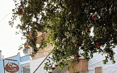 Çakır’S Home · 2