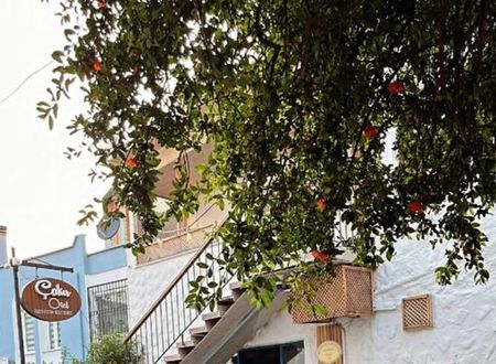 turkiye/izmir/cesme/cakir-butik-otel_f93c936d.jpg