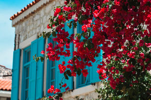 turkiye/izmir/cesme/casa-alegre-alacati_2c5d51f7.jpg