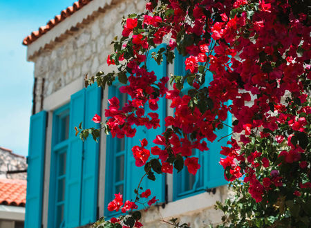 turkiye/izmir/cesme/casa-alegre-alacati_2c5d51f7.jpg