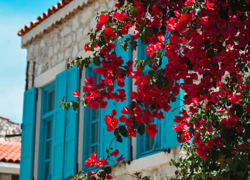 turkiye/izmir/cesme/casa-alegre-alacati_2c5d51f7.jpg