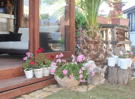 turkiye/izmir/cesme/cesme-ada-butik-otel-541743047.JPG