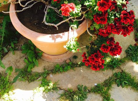 turkiye/izmir/cesme/cesme-ada-butik-otel_9f24f0fa.jpg