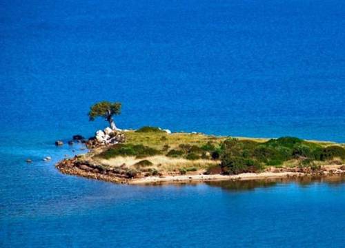 turkiye/izmir/cesme/cesme-inn-garden-resort-hotel-8165-1851417476.jpg