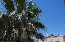 turkiye/izmir/cesme/design-hotel-alacati_c9569e63.jpg