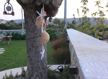turkiye/izmir/cesme/eritrina-alacati-651c8dd8.jpg
