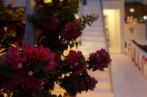 turkiye/izmir/cesme/fullmoon-rooms-hotel_bceea455.jpg