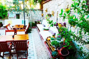 turkiye/izmir/cesme/lilyum-alacati_e809e56e.jpg