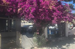 turkiye/izmir/cesme/mandalin-butik_2e9380d1.jpg