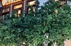 turkiye/izmir/cesme/marinda_c081155d.jpg