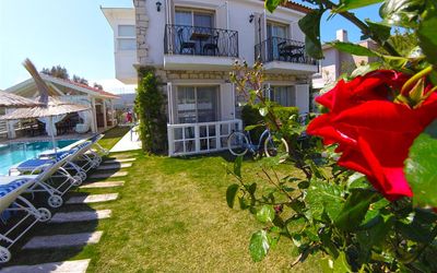 Alaçatı Morisi · 3